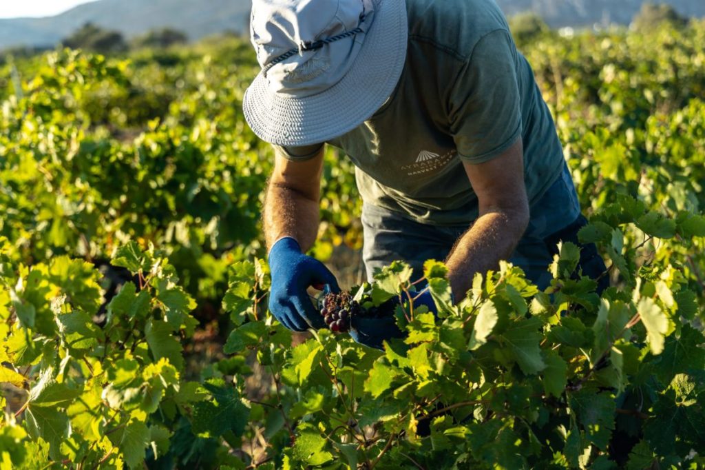Thumbnail for Go west, young man: Jobs bonanza luring city workers to Queensland outback