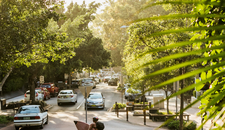 Noosa 