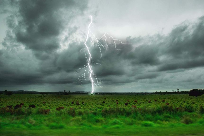 Thumbnail for Heavy summer rainfall across Queensland likely to dampen bushfire risk, says BOM