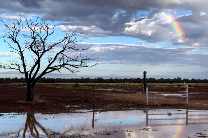 Boulia received rain the weekend event with a rainbow peeking through towards the end.(Supplied: Taylor Walsh-Jones)