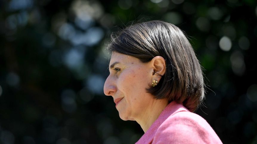 On what we have heard this week, she has fallen short of the standards that should be expected of a premier.(AAP: Dan Himbrechts)