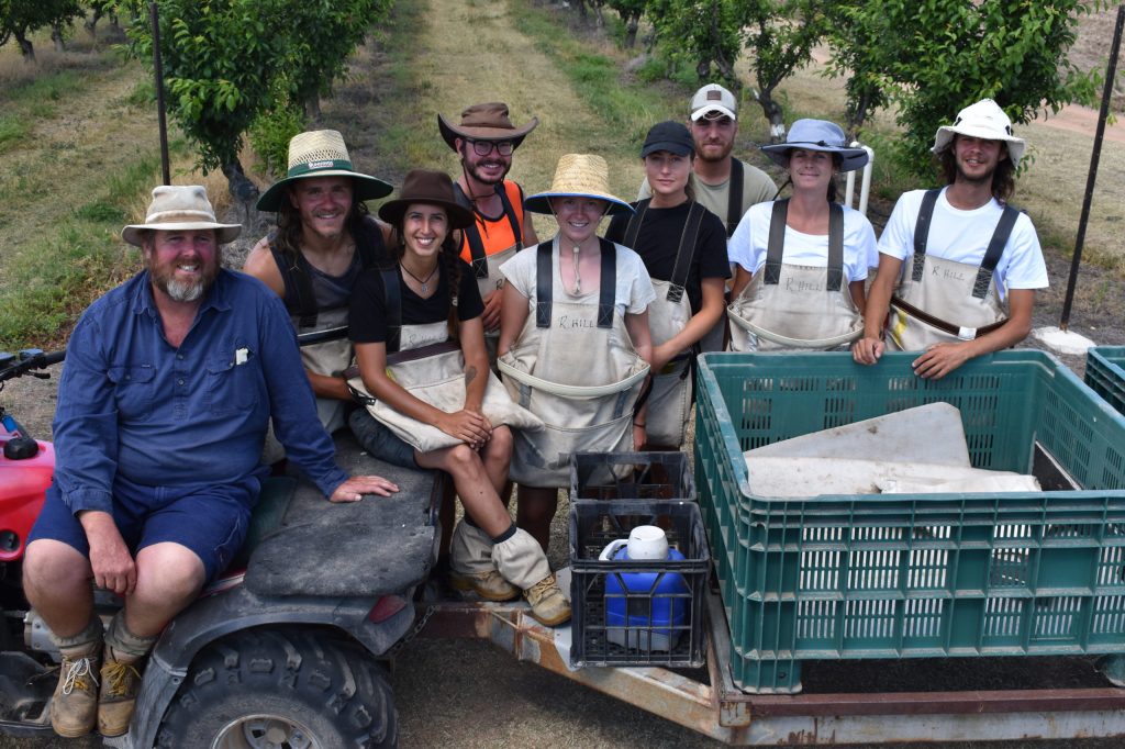 Thumbnail for Farmers, tourism operators unite in plea to bring back the backpackers