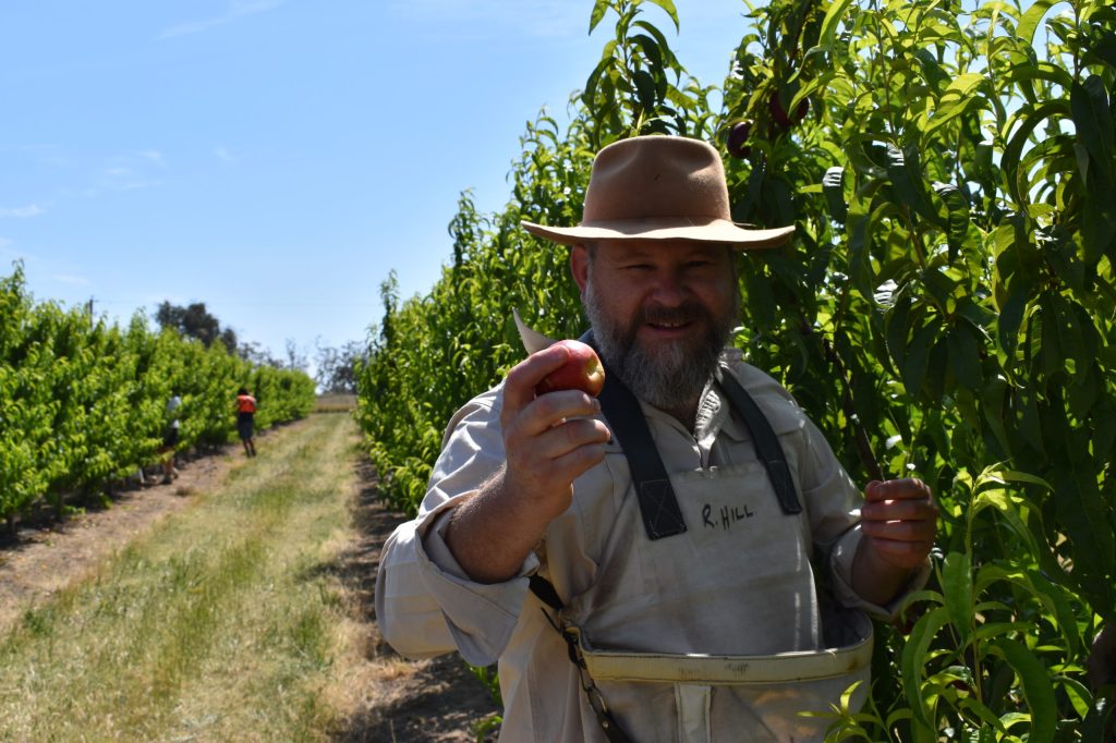 Thumbnail for Sweet rewards: The day I joined a hand-picked ‘Harvest Army’