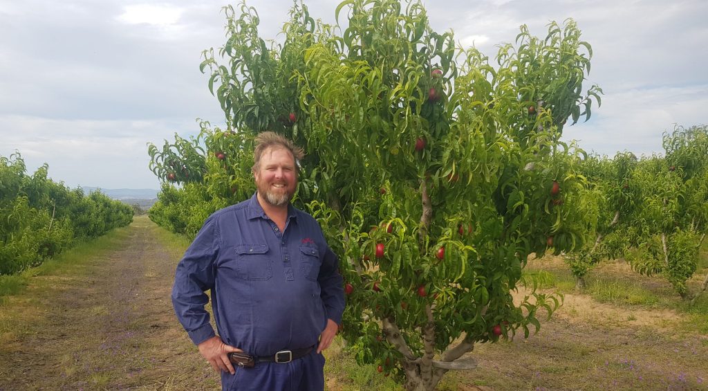 Thumbnail for Ripe for the picking: why COVID is forcing a rethink on farm labour