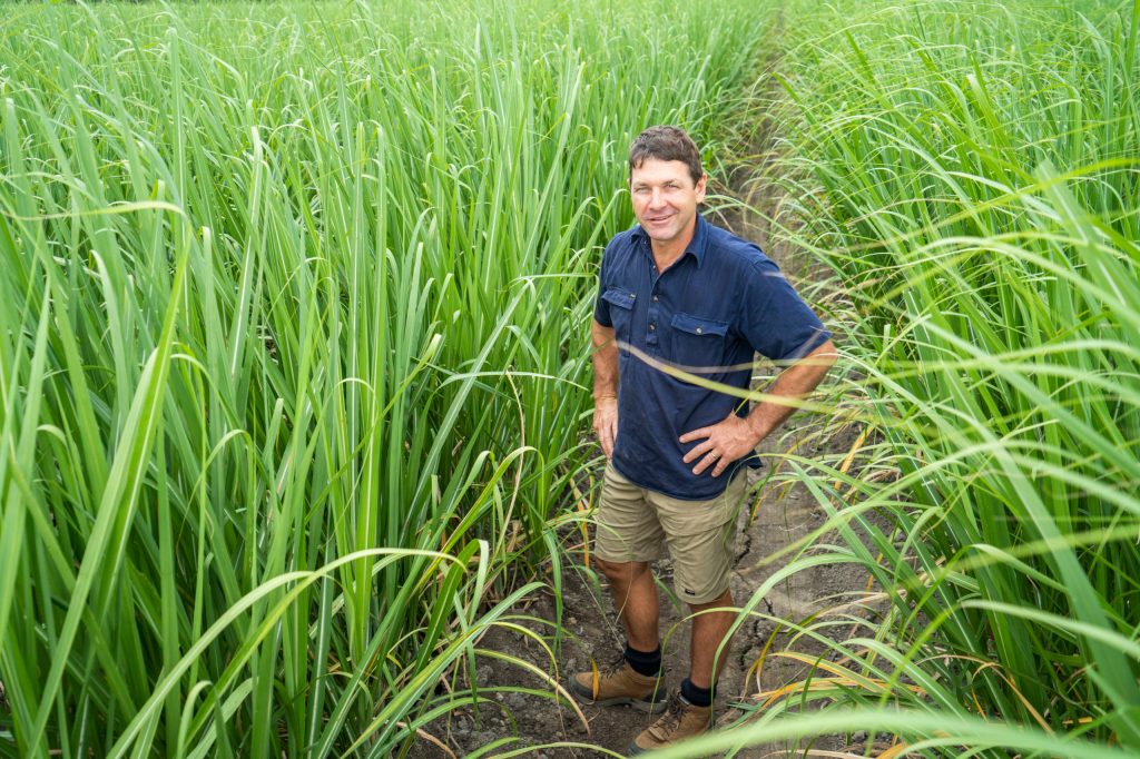 Thumbnail for Reef credit scheme benefits untested, says Canegrowers