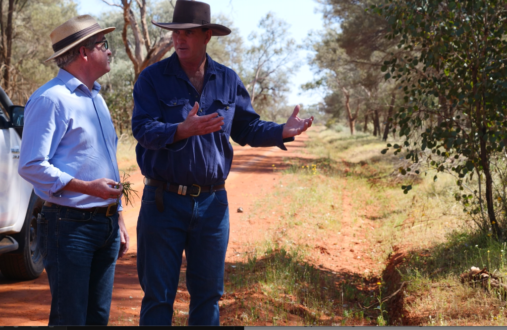 Thumbnail for Carbon farms ‘worth millions’ to landowners and critical to dealing with climate change