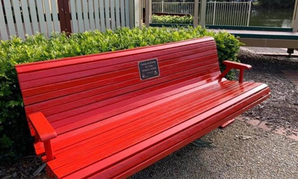 Thumbnail for Bins and benches our new tools to battle domestic violence