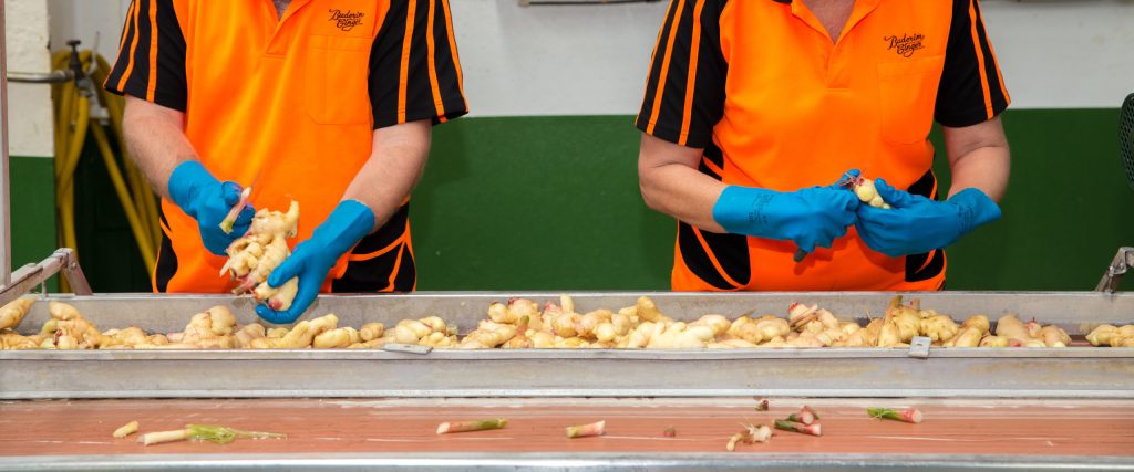 Thumbnail for Buderim Ginger deal is done, now for macadamias