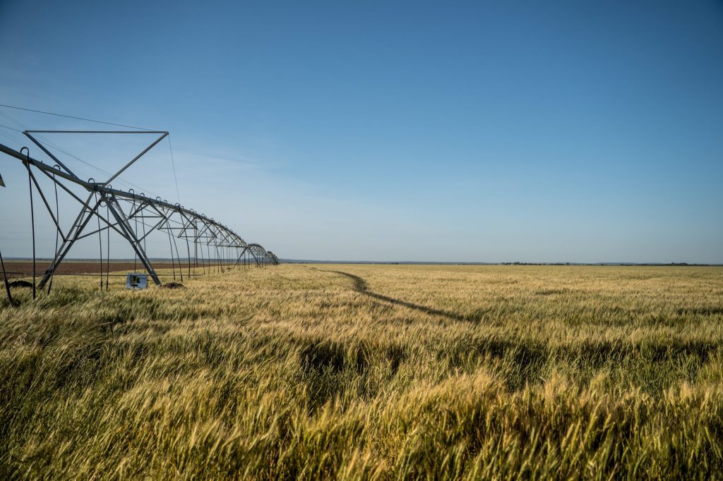 The LNP claims the scheme would irrigate the vast Queensland inland.