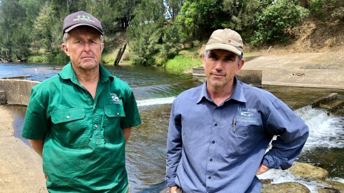 Organic farmer John Tidy and Brad Wedlock from the Mary River Catchment Coordinating Committee are concerned about the lack of flow in the Mary River and its tributaries. (Photo: ABC)