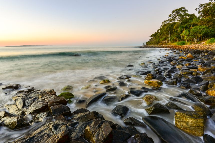 The Queensland Government said it has allocated $60 million to protect more wilderness areas.(Geoff Fanning Via ABC Open Sunshine Coast Qld)