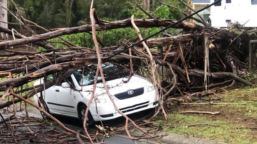 Thumbnail for Insurer expects bigger costs from a summer of wild weather