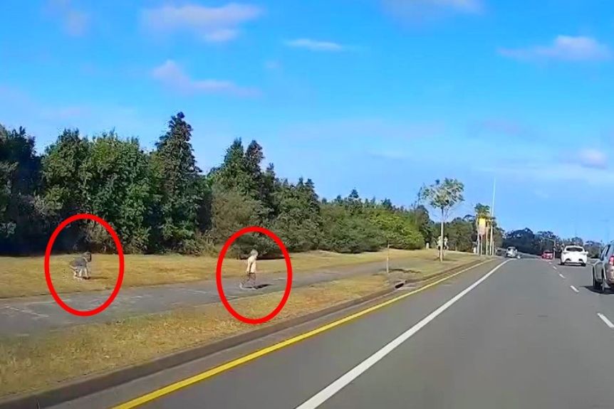 Thumbnail for Dramatic video: Toddlers escape Gold Coast child care centre, run onto busy road