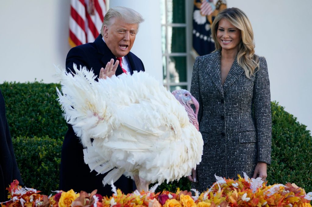 Thumbnail for Lame-duck president pardons Thanksgiving turkey in fowl tradition