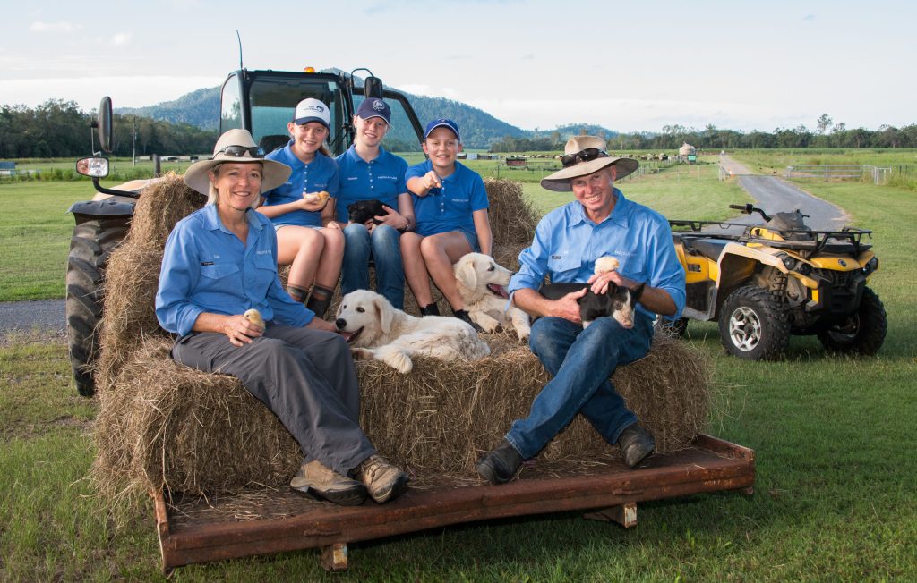 Thumbnail for Growing interest: How our farmers are helping keep tourism industry alive