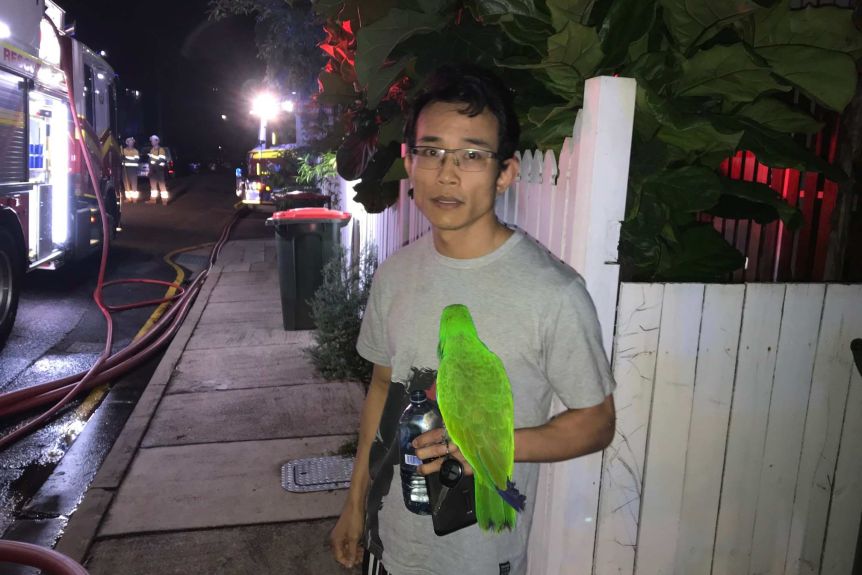 Thumbnail for ‘Anton! Anton!’ Green parrot calls its owner to save him from house fire