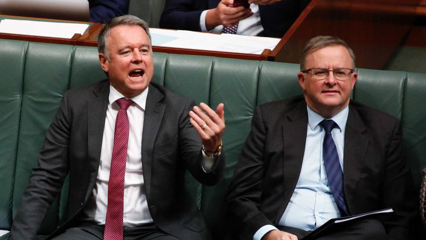 Joel Fitzgibbon and Anthony Albanese.