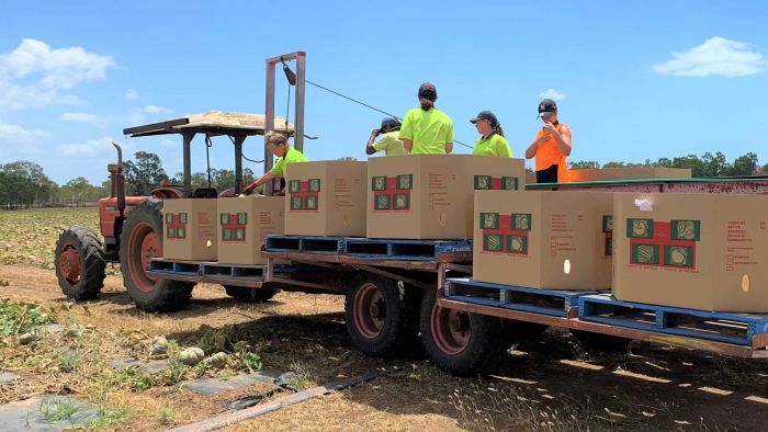 Thumbnail for Open for business: Farmers take to cyberspace to ease job shortage