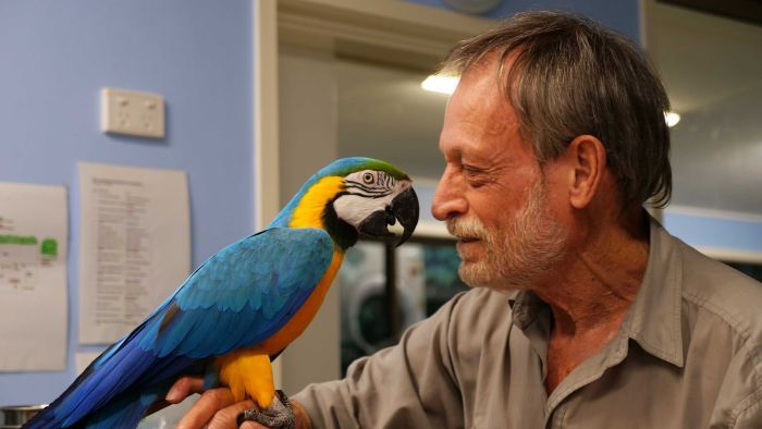 Thumbnail for Gold Coast vet’s life with all creatures great and small