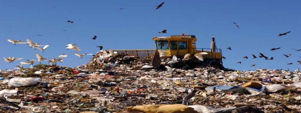 Thumbnail for Plans to generate renewable energy from green waste falter