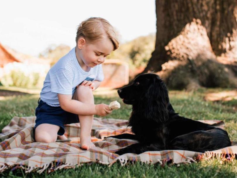 Thumbnail for Royals in mourning after death of family pooch, Lupo