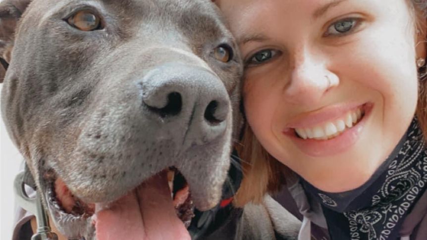 Thumbnail for Saving Sarge: Family admits defeat in bid to spare ‘dangerous dog’