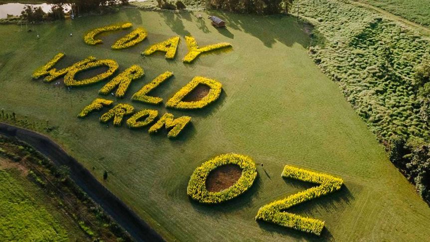 Thumbnail for How a north Queensland farmer sent this message of joy around the world