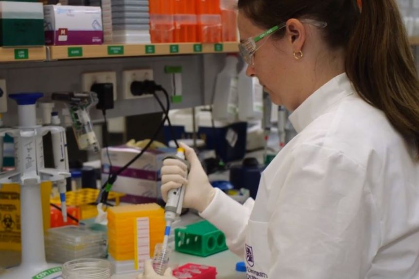 Thumbnail for COVID-19 vaccine trial at University of Queensland looks promising, available in late 2021