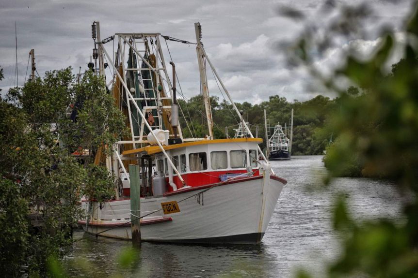 Thumbnail for Hook, line and stinker: Industry says new Qld fishing rules on the nose