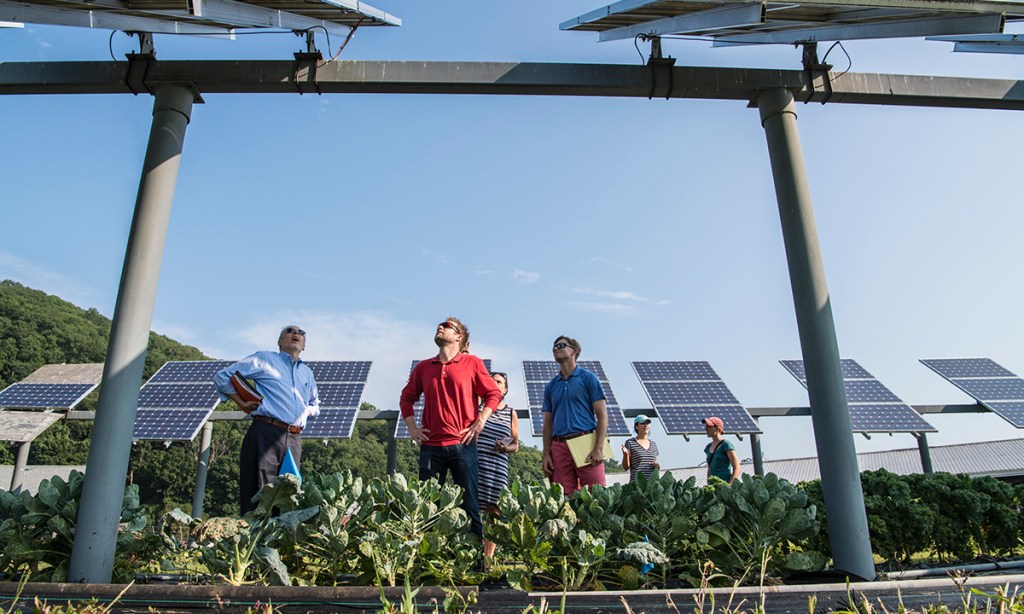 Thumbnail for Regulator tips power bills will fall as solar drives down costs by 30pc