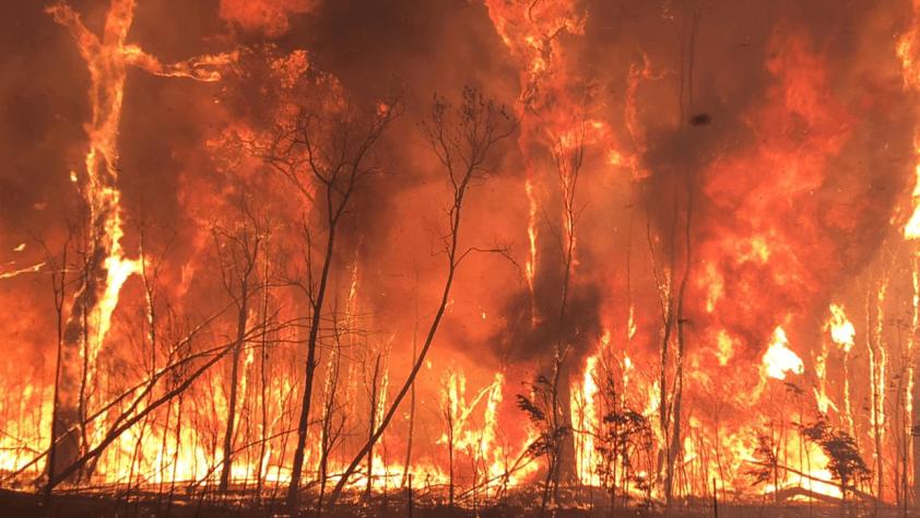 Thumbnail for One year on, fears grow of another potential Queensland inferno