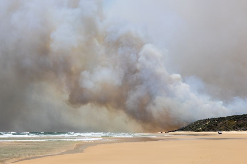 Thumbnail for Fraser Island fire report under scrutiny