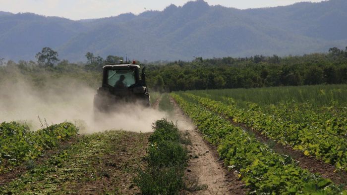 The latest ABARES report paints a gloomy picture of future farm profits. (Photo: ABC)
