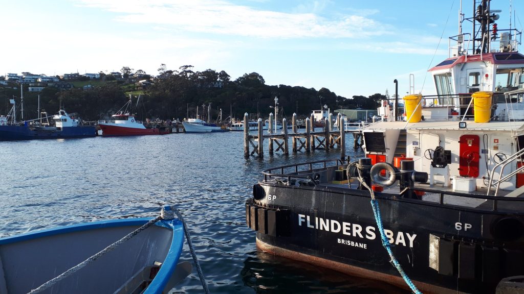 Fishing is one of the sectors forecast to boom, according to Deloitte.