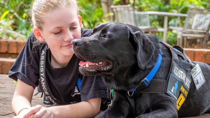 Thumbnail for Assistance dog is life-changing for Bundaberg teen Summer Farrelly, who lives with autism