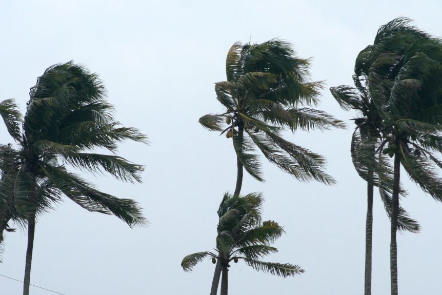 Thumbnail for It’s going to be wet, wild and windy all summer long, warns weather bureau