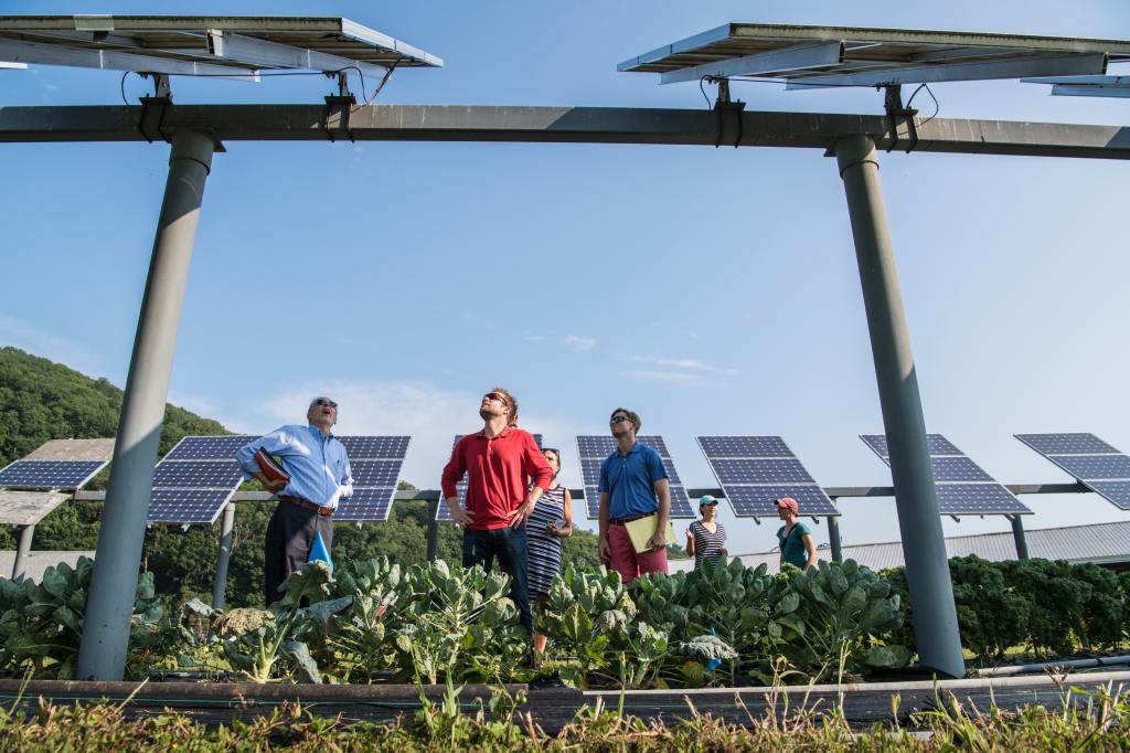 Thumbnail for Squibbed it: How Queensland has fallen behind in the renewables race