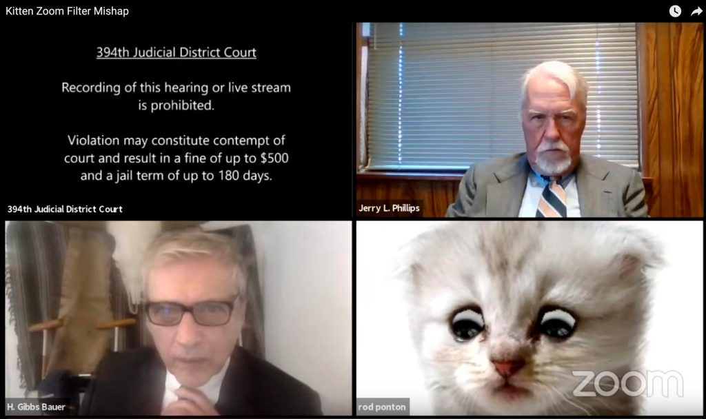 Thumbnail for I’m not a cat: Lawyer’s Zoom call gaffe goes viral