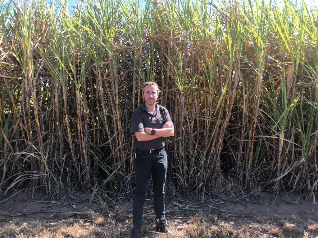 Thumbnail for Caned: Sugar growers say new rules will crush plans for bio-fuel