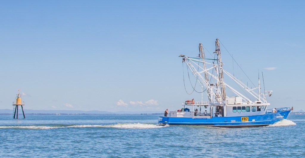 Thumbnail for Snagged: Report paints grim outlook for commercial fishing industry
