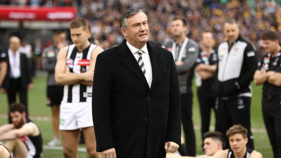 Thumbnail for Shot bird: Open letter urges McGuire to step down as Magpie boss