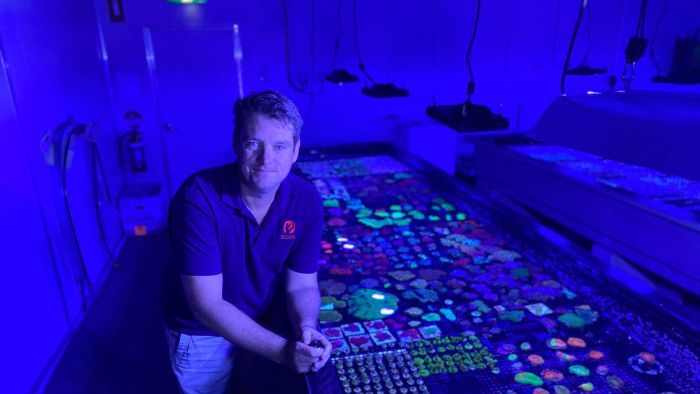 Thumbnail for Coral farm wants to give back to the Great Barrier Reef