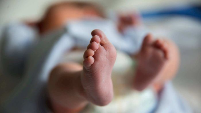 Thumbnail for Oh baby: Why has Australia’s birth rate plunged to lowest level in 20 years?