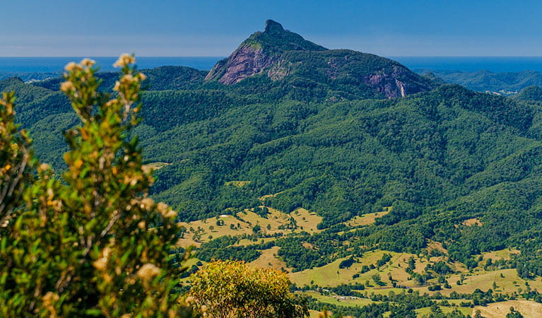 Thumbnail for Revealed: Plans to ban climbers from Mt Warning forever