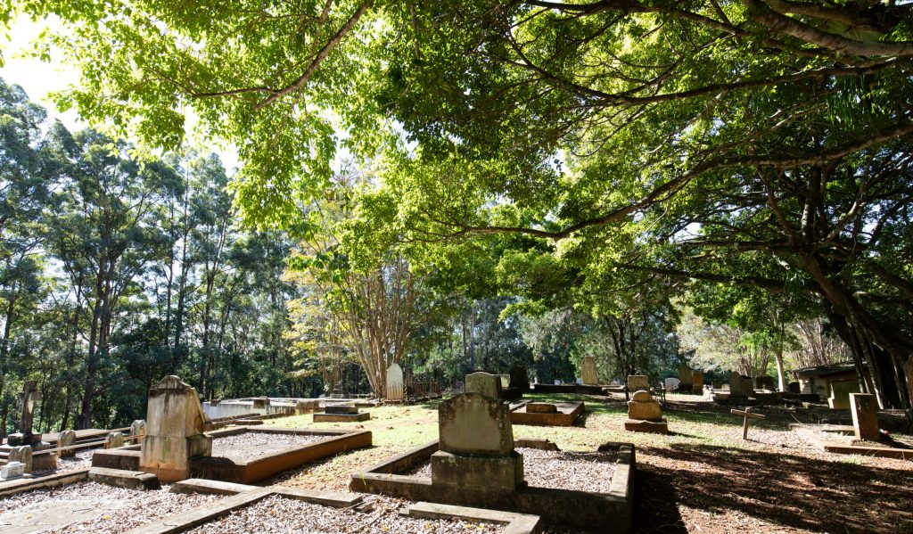 Thumbnail for Dust to dust: Councils line up to offer sites for natural burials