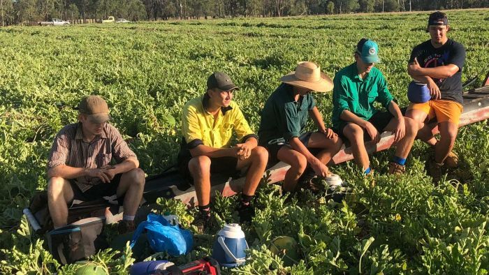 Thumbnail for Help is on the way for farmers as new visa deal gets the green light