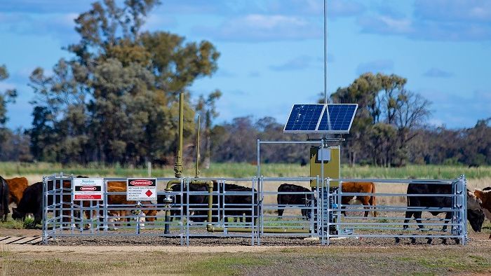 Multiple CSG wells can be widely spread across cattle and grain properties. Photo: ABC licensed