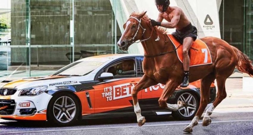 Heidi Mackay trained Pretty Boy for this ambitious TV advert.