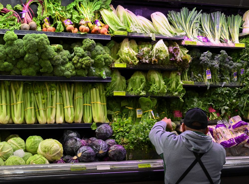 Thumbnail for Fresh thinking needed as farm exporters seek answer to tyranny of distance