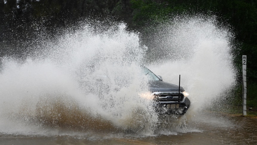 Thumbnail for After the deluge, rain to continue in south east for most of the week